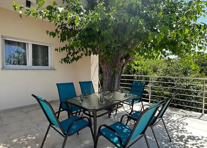 Dream View 卓得诺沃